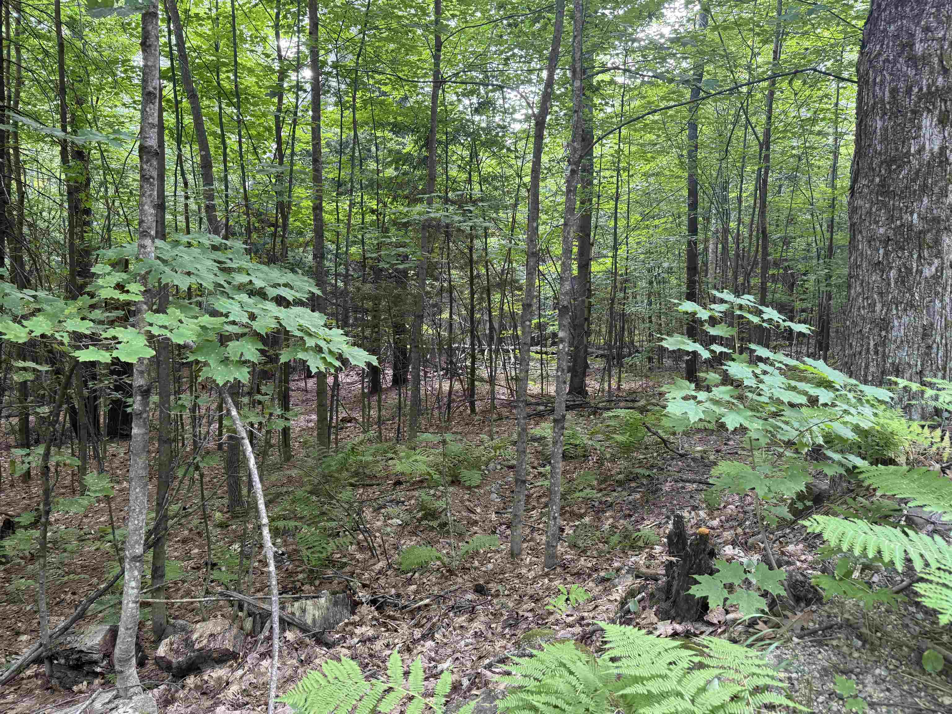 190 Circuit Road Ossipee, NH 03864 - Photo 16 of 57