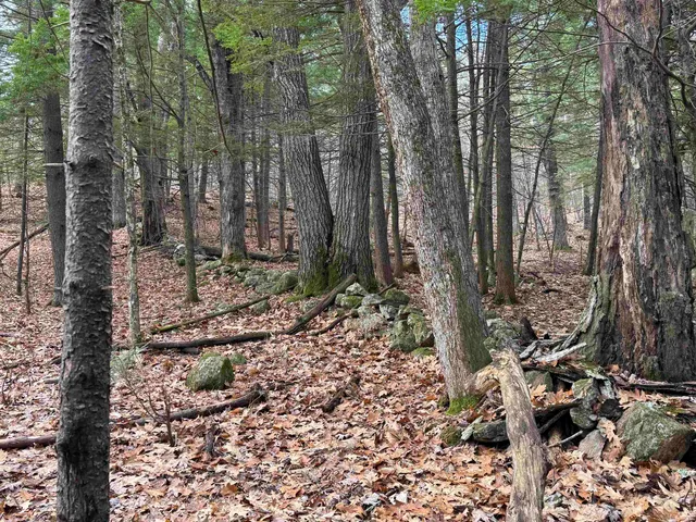 $120,000 | 190 Circuit Road, Ossipee, NH 03864