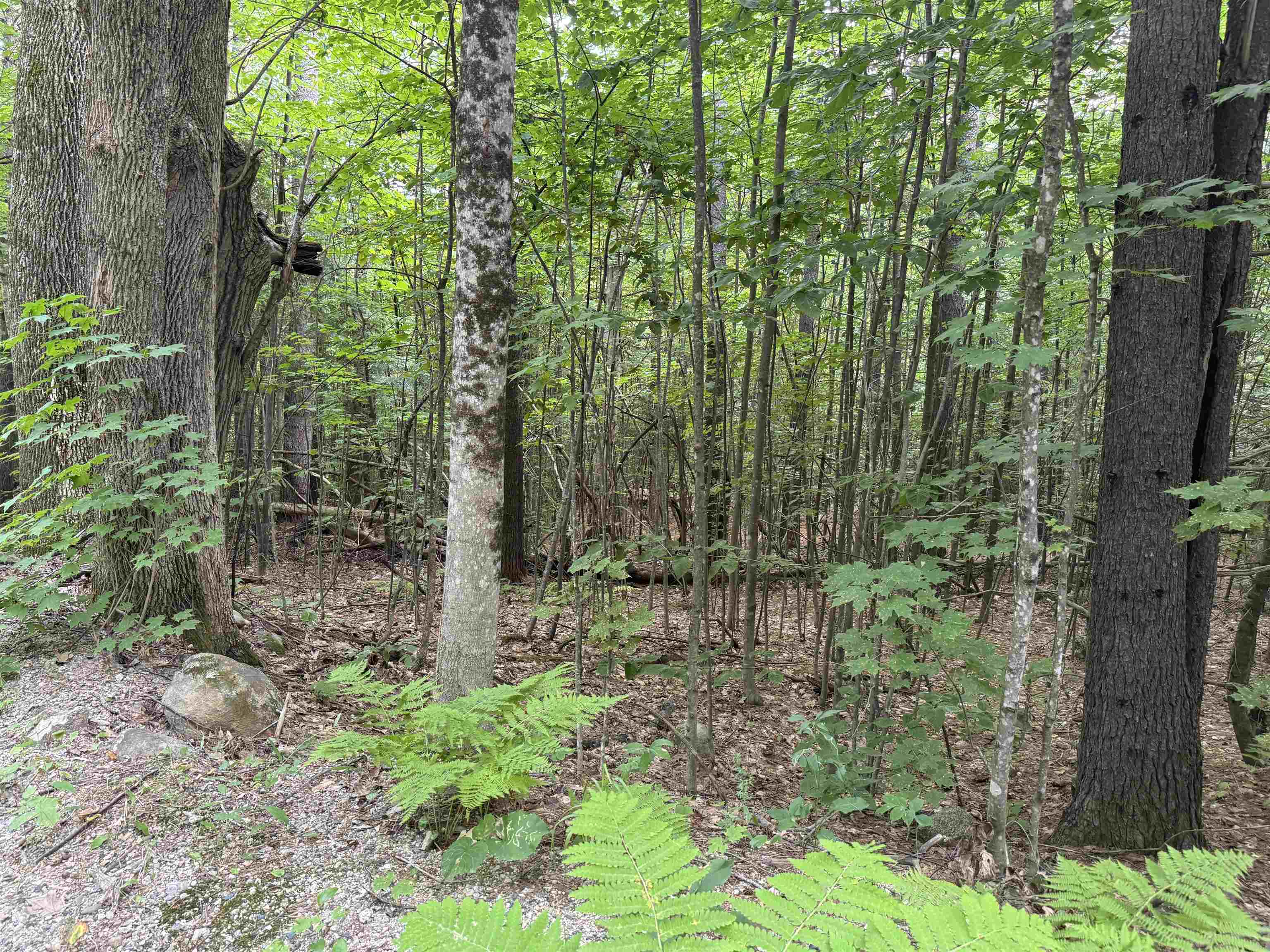 190 Circuit Road Ossipee, NH 03864 - Photo 17 of 57