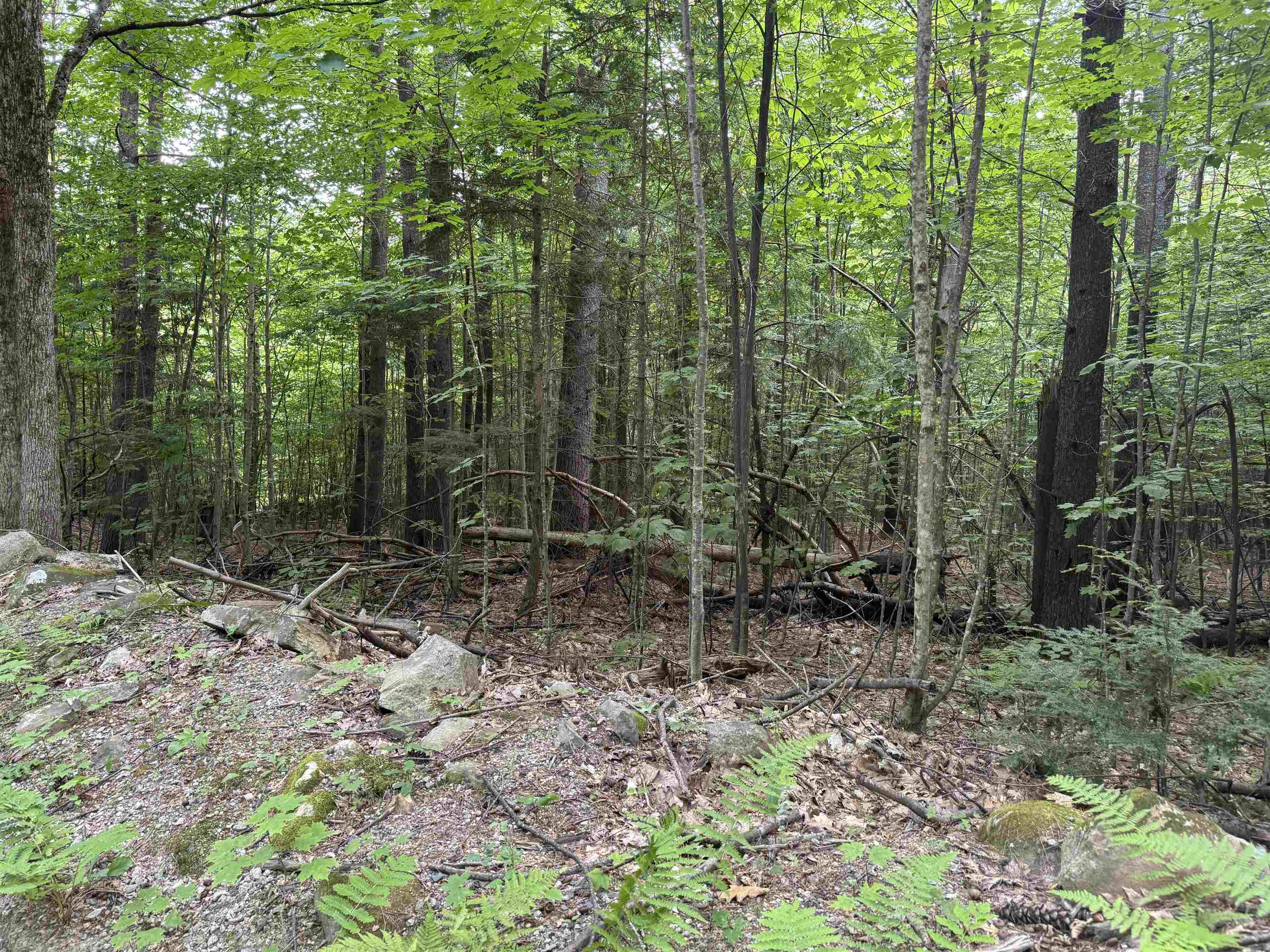 190 Circuit Road Ossipee, NH 03864 - Photo 18 of 57