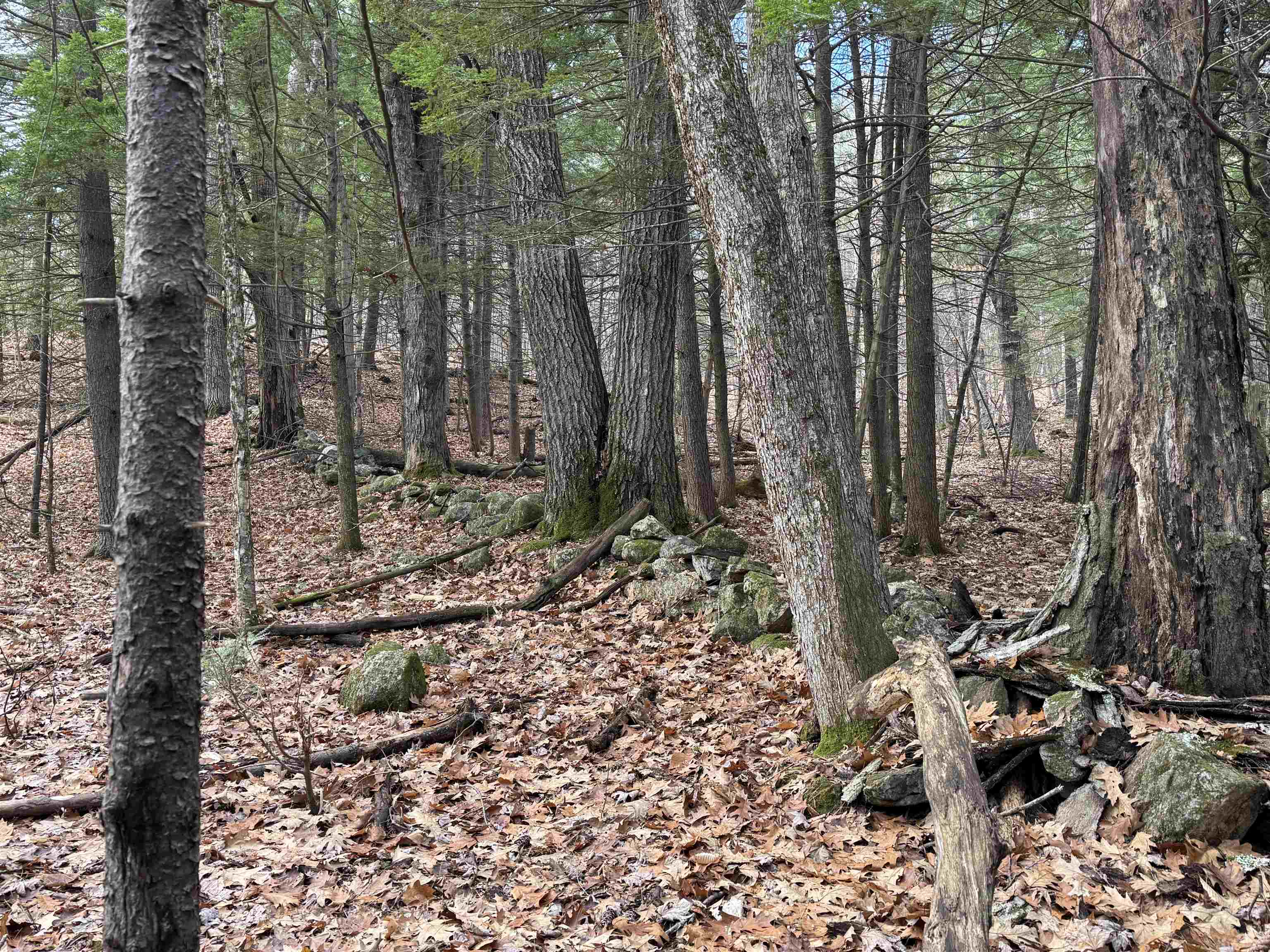 190 Circuit Road Ossipee, NH 03864 - Photo 19 of 57