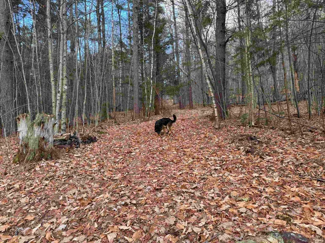 $120,000 | 190 Circuit Road, Ossipee, NH 03864