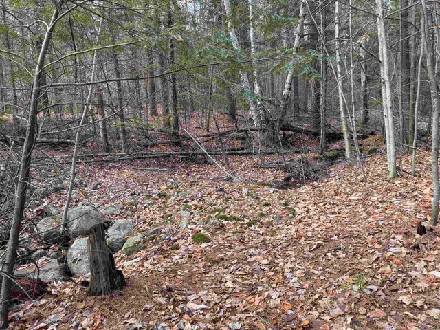 $120,000 | 190 Circuit Road, Ossipee, NH 03864