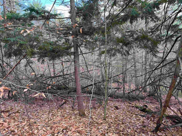 $120,000 | 190 Circuit Road, Ossipee, NH 03864