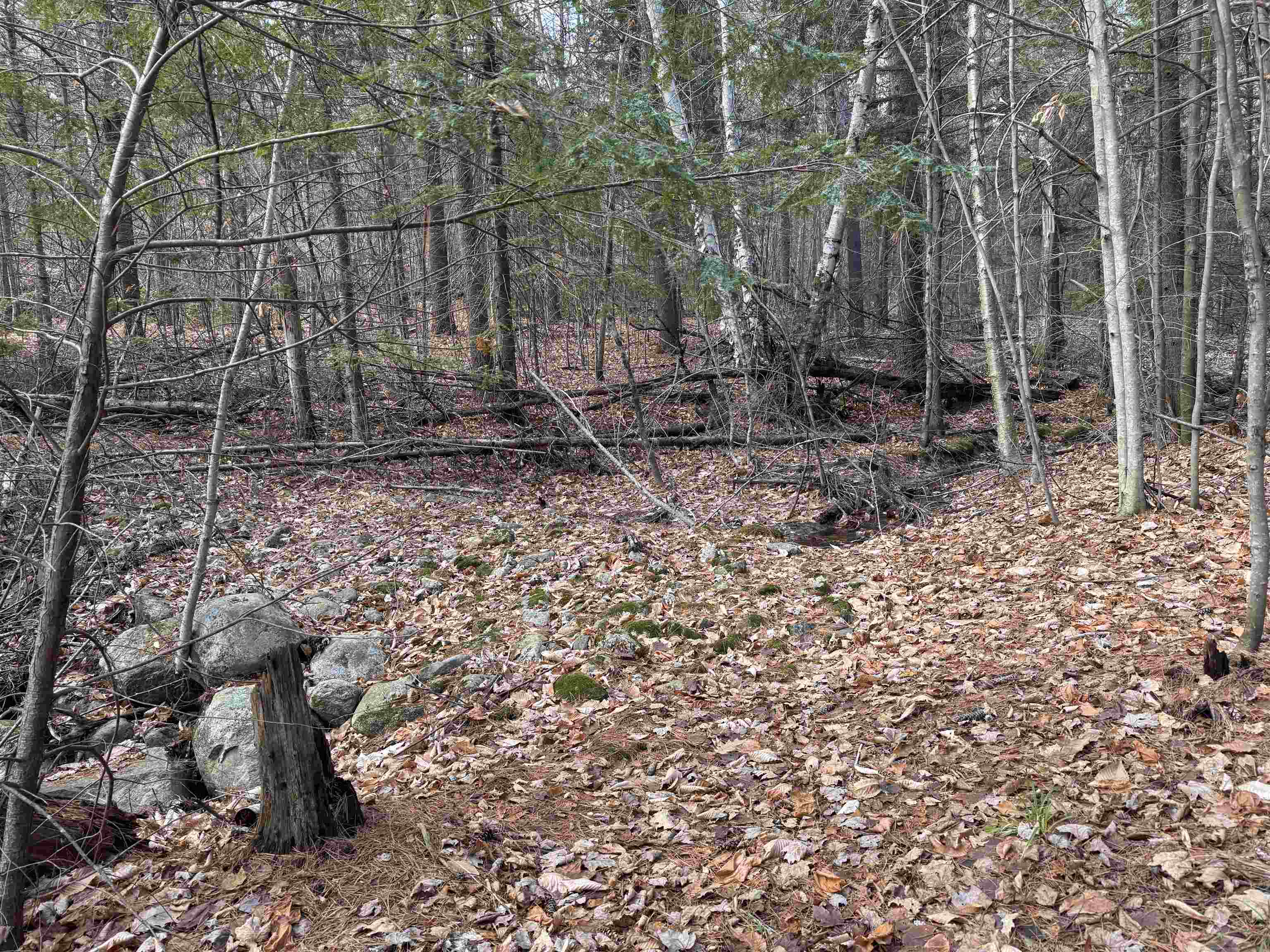 190 Circuit Road Ossipee, NH 03864 - Photo 23 of 57