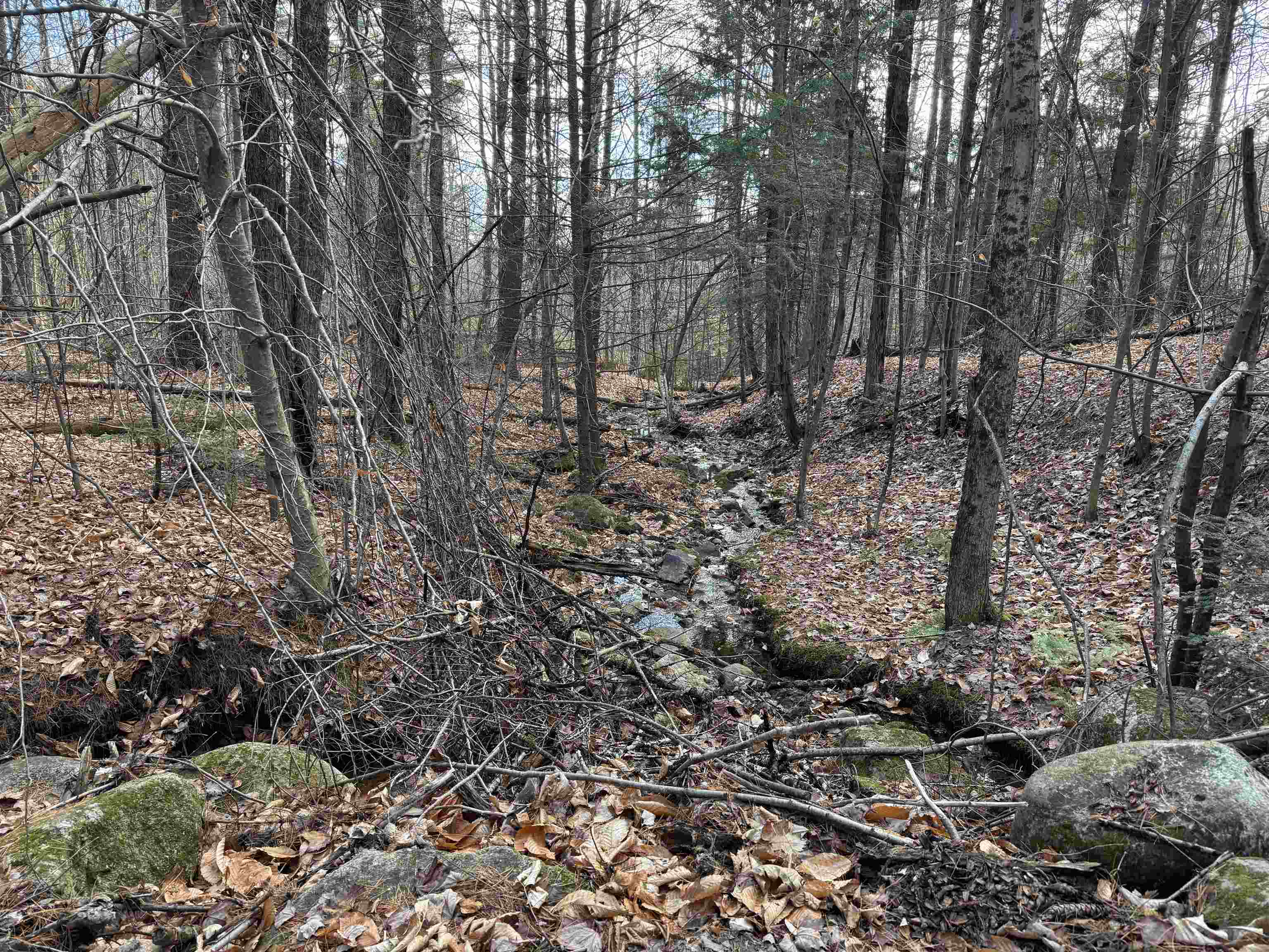 190 Circuit Road Ossipee, NH 03864 - Photo 24 of 57