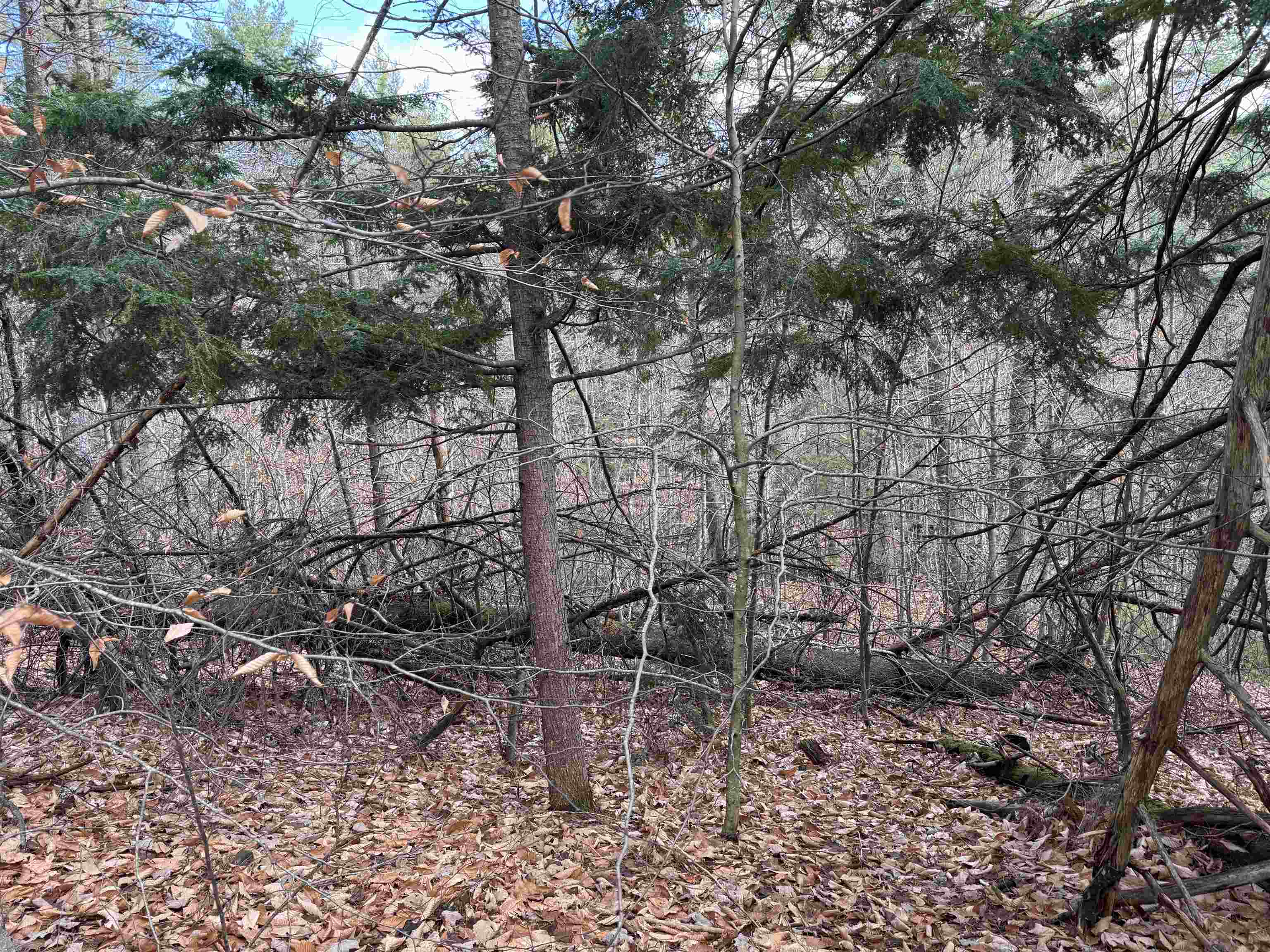 190 Circuit Road Ossipee, NH 03864 - Photo 25 of 57