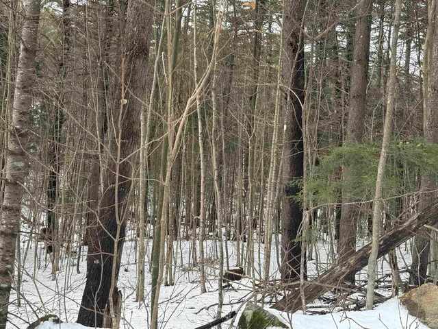 $120,000 | 190 Circuit Road, Ossipee, NH 03864