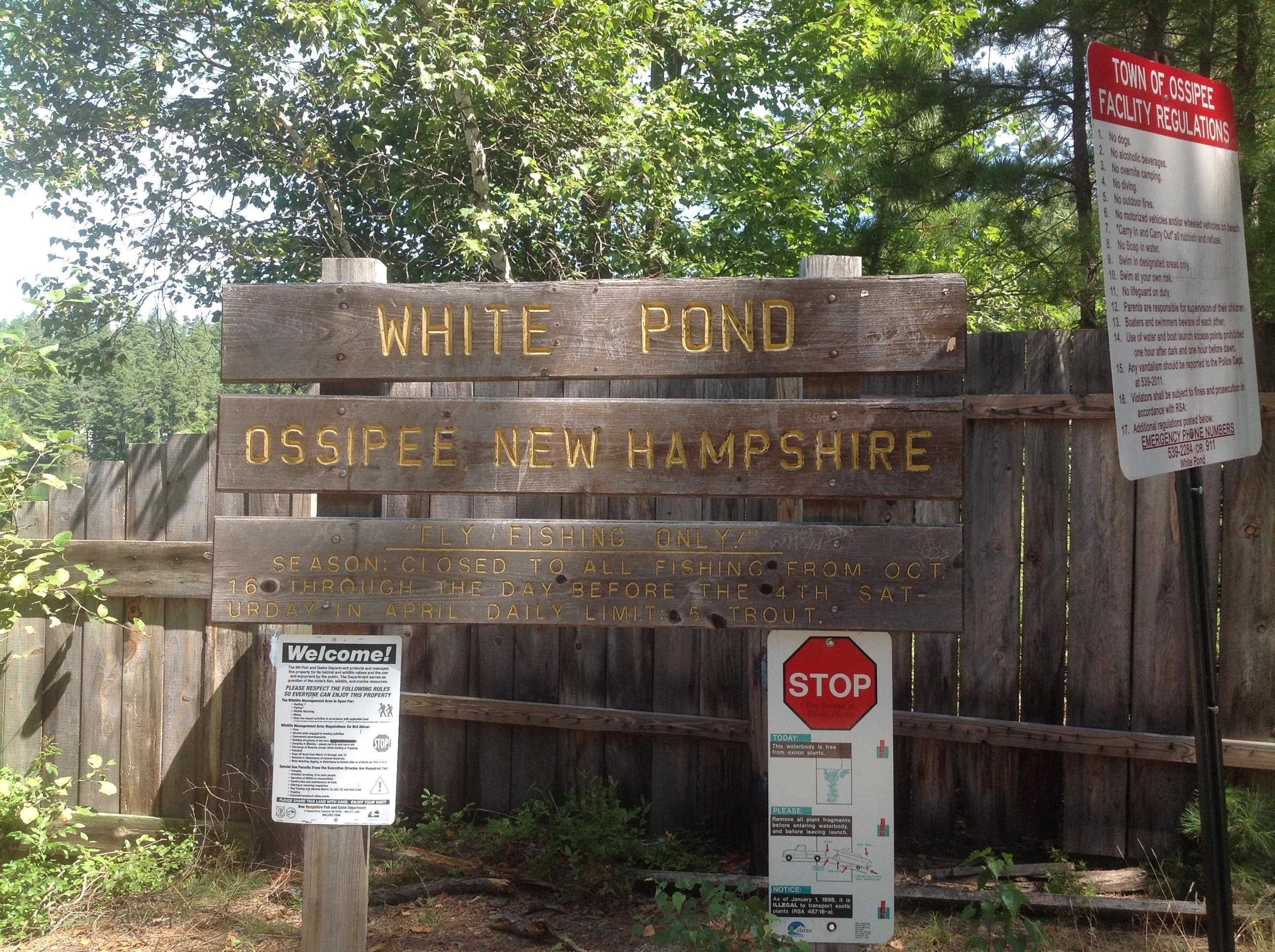 190 Circuit Road Ossipee, NH 03864 - Photo 35 of 57