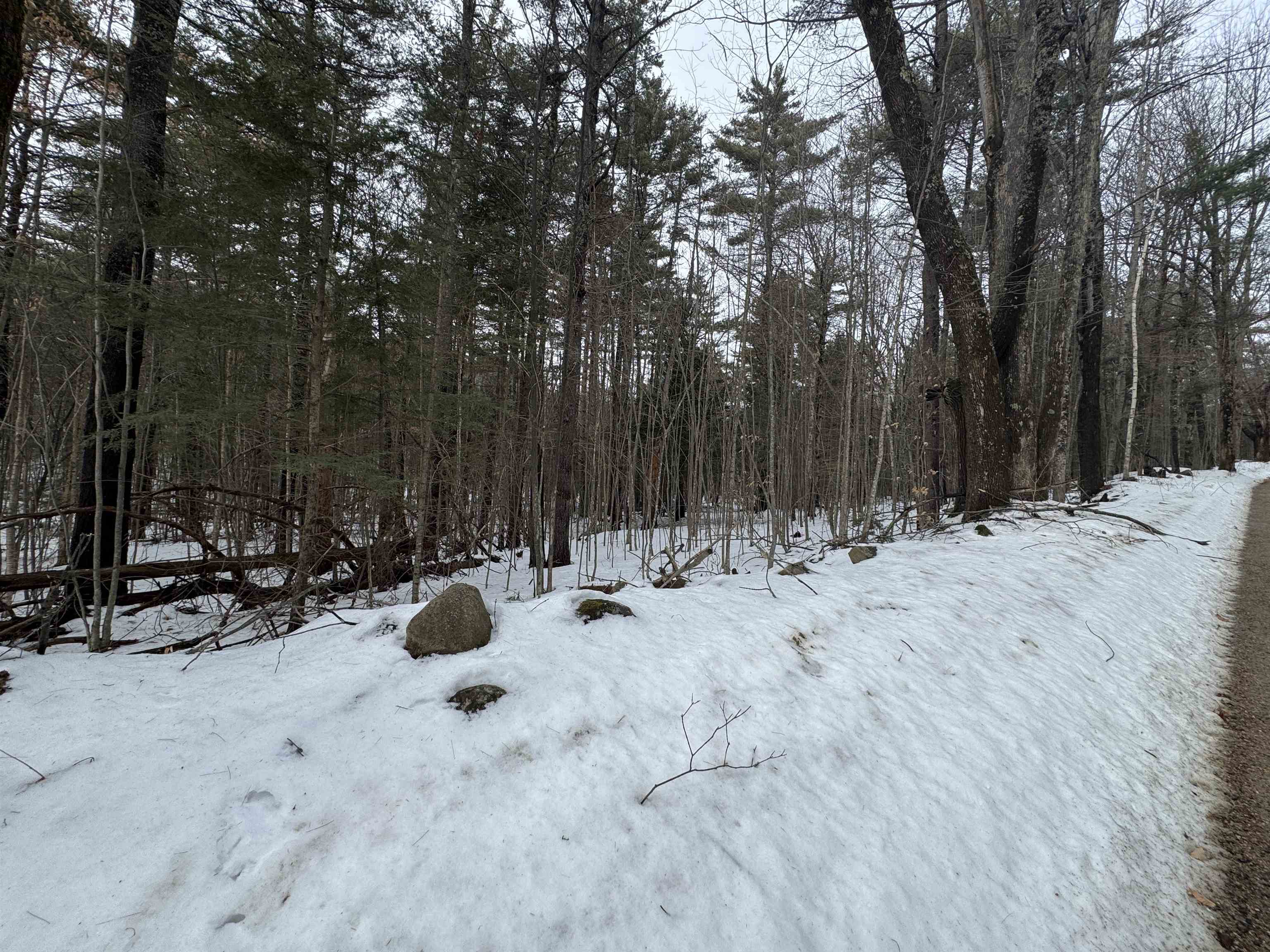 190 Circuit Road Ossipee, NH 03864 - Photo 4 of 57