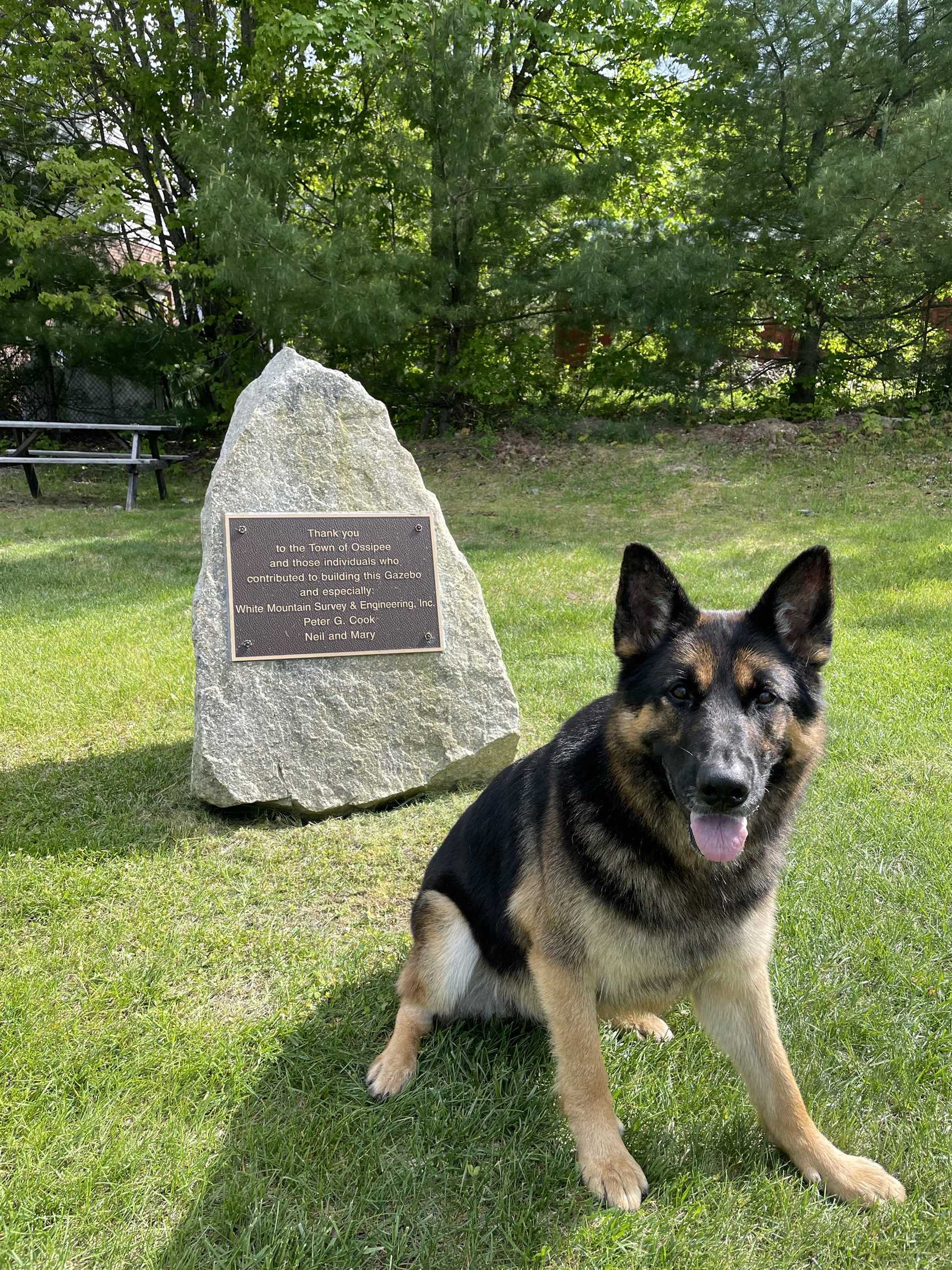 190 Circuit Road Ossipee, NH 03864 - Photo 50 of 57