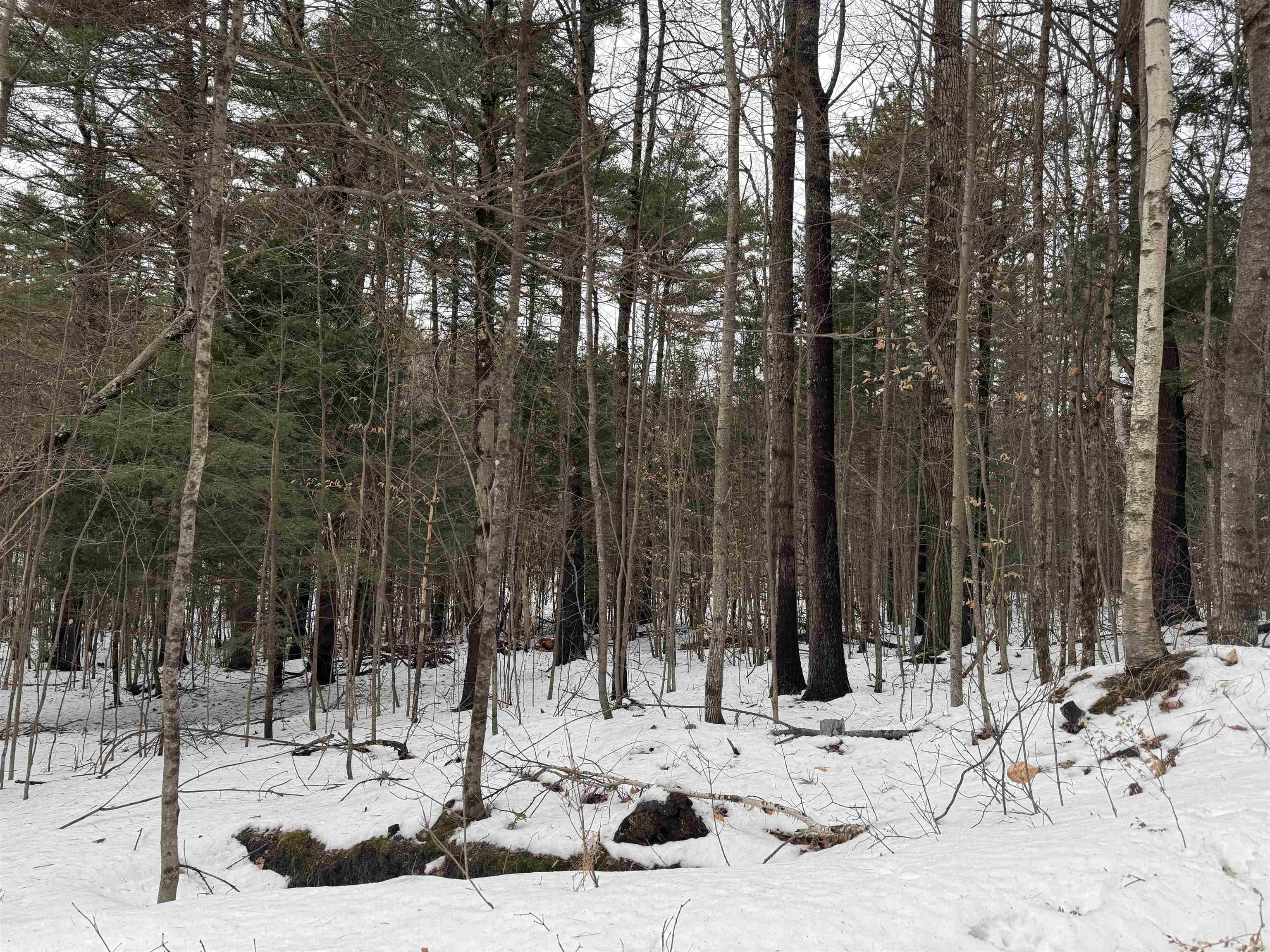 190 Circuit Road Ossipee, NH 03864 - Photo 5 of 57