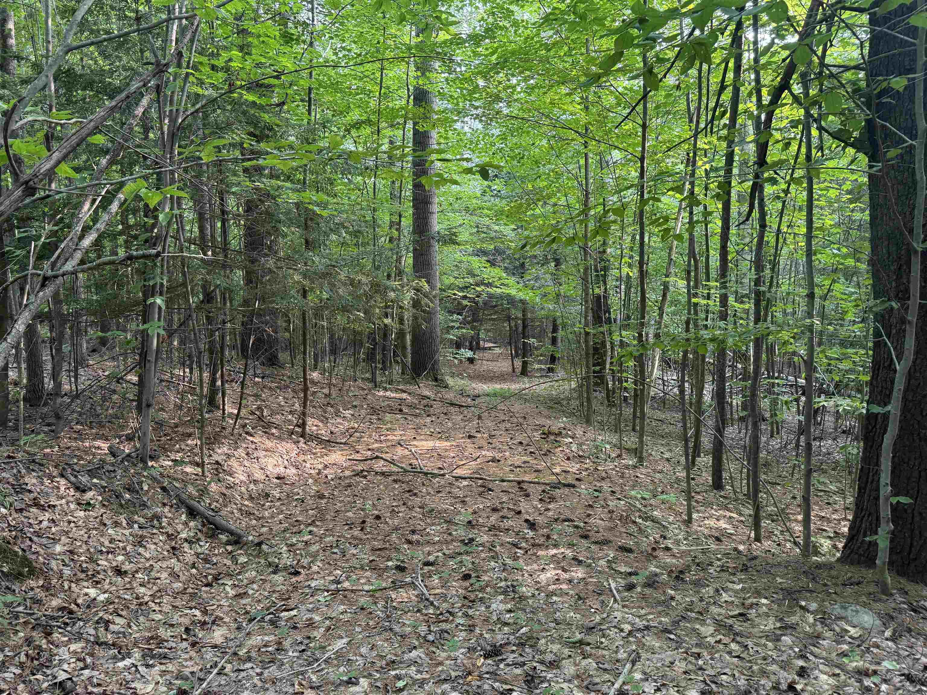 190 Circuit Road Ossipee, NH 03864 - Photo 55 of 57