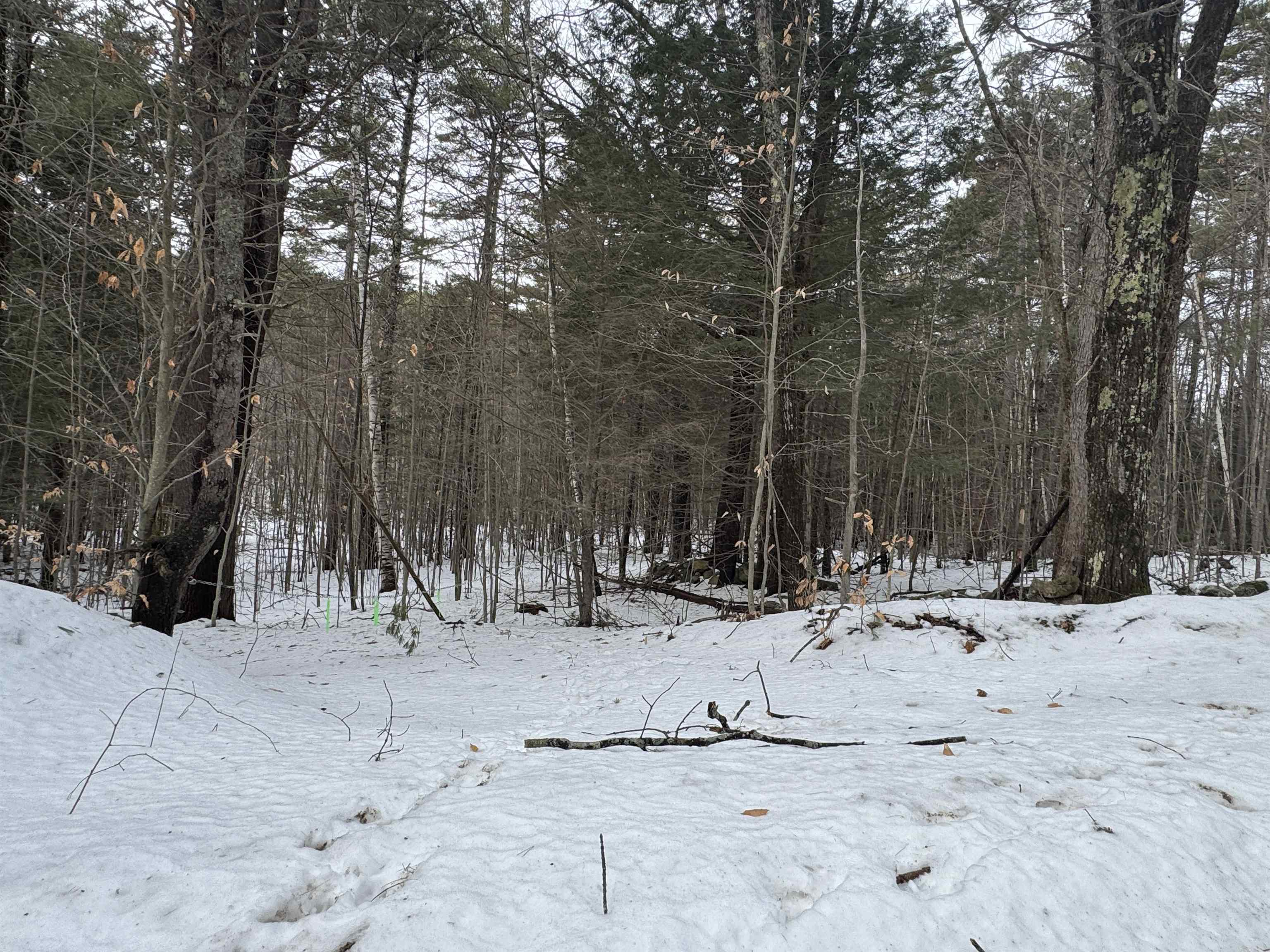 190 Circuit Road Ossipee, NH 03864 - Photo 56 of 57