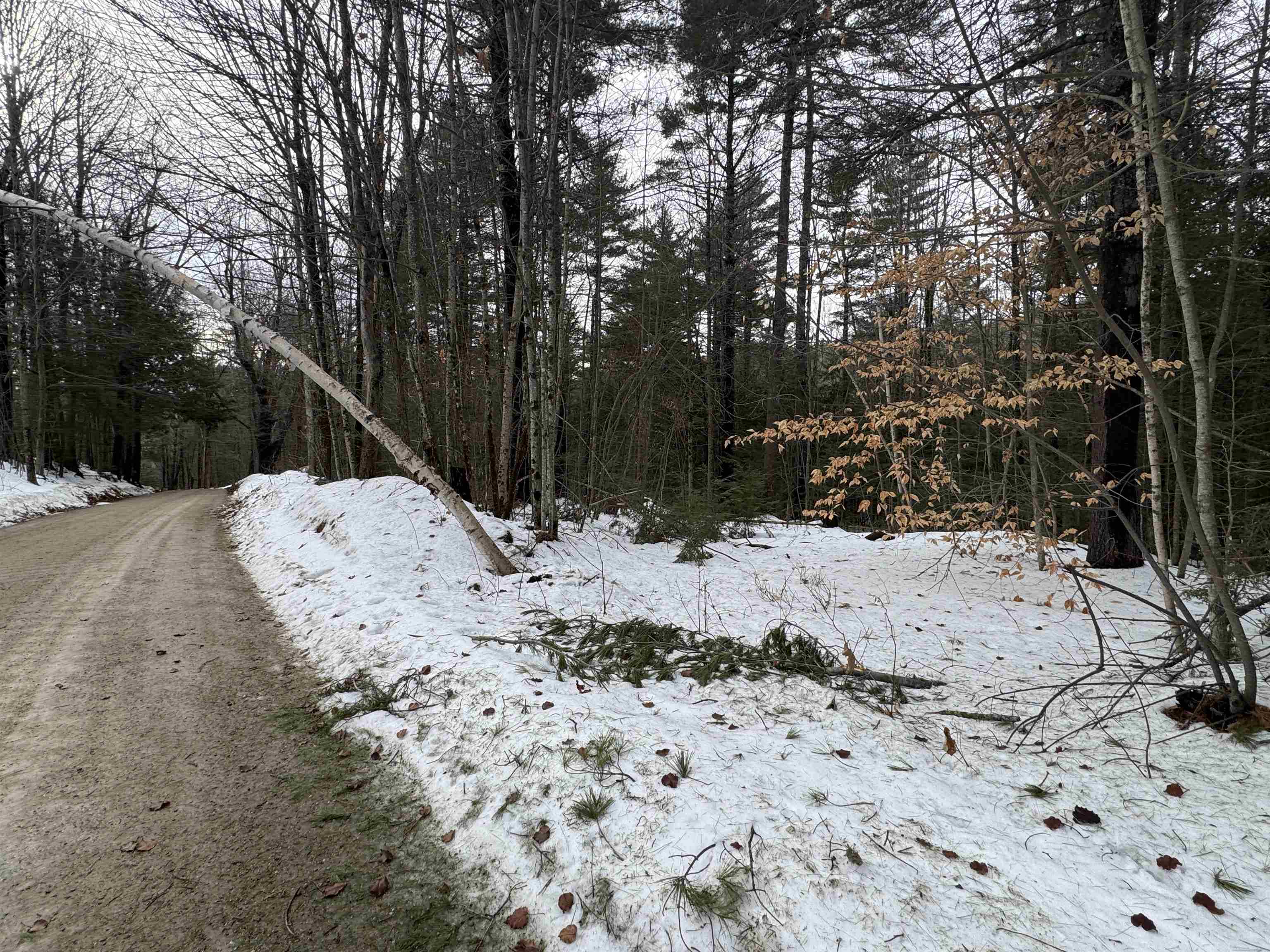 190 Circuit Road Ossipee, NH 03864 - Photo 57 of 57