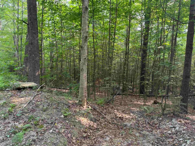 $120,000 | 190 Circuit Road, Ossipee, NH 03864