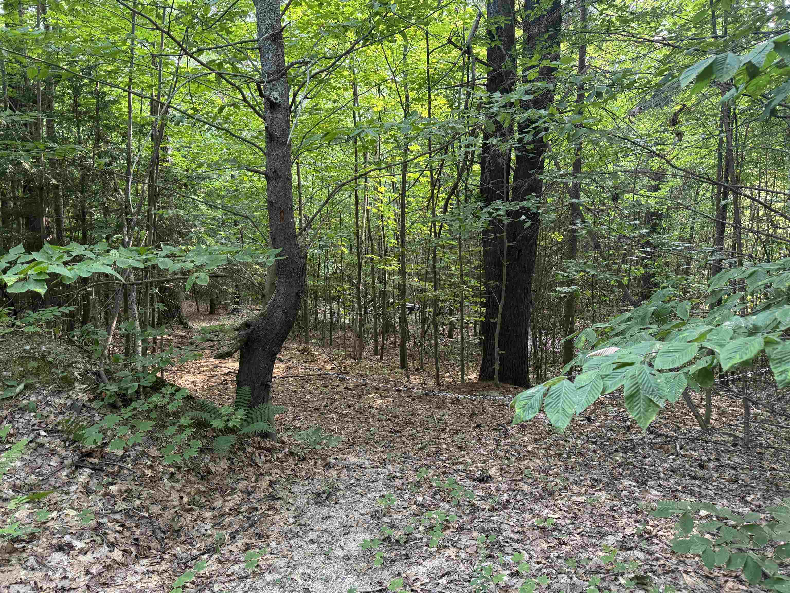 190 Circuit Road Ossipee, NH 03864 - Photo 6 of 57