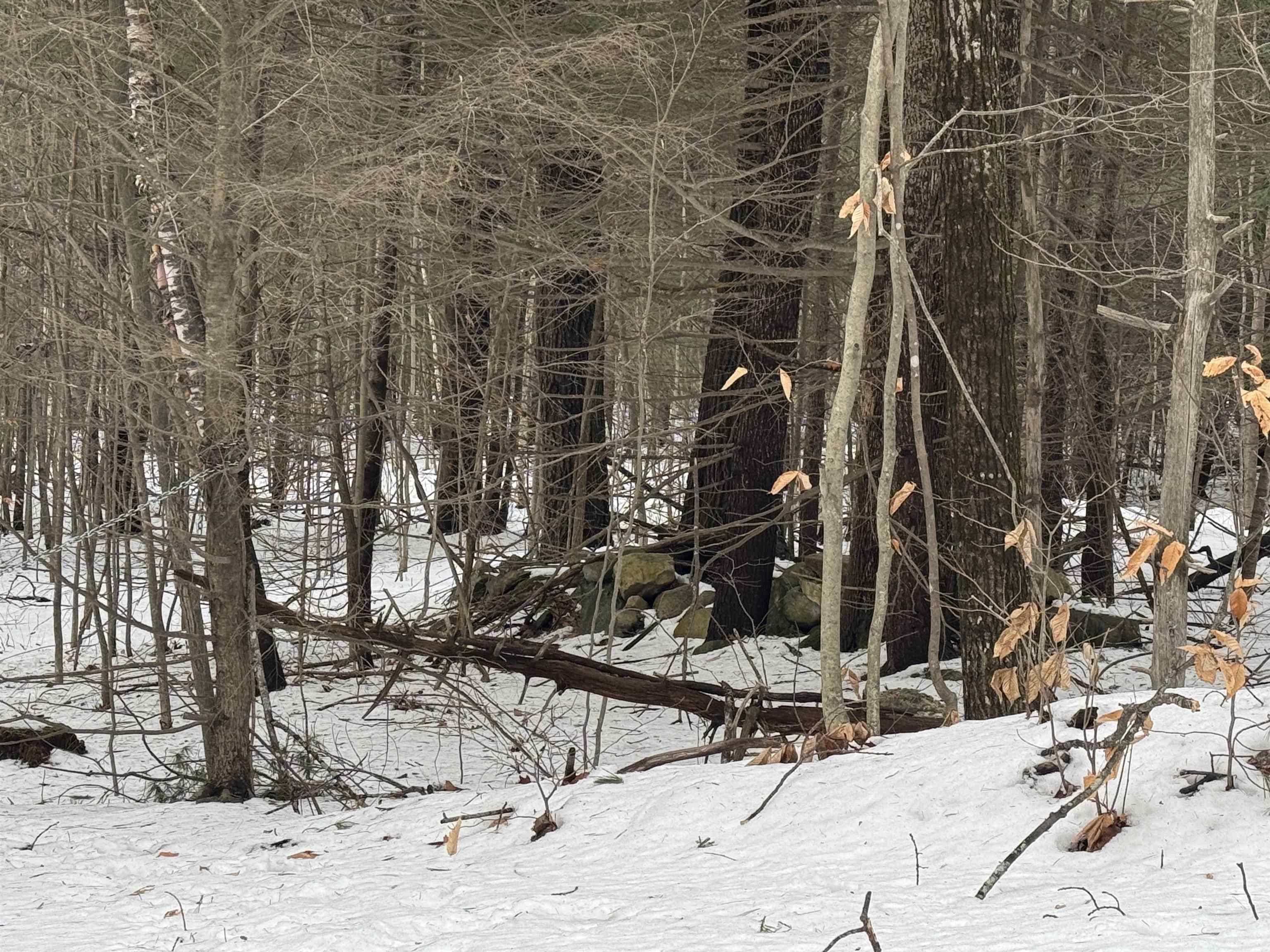 190 Circuit Road Ossipee, NH 03864 - Photo 7 of 57