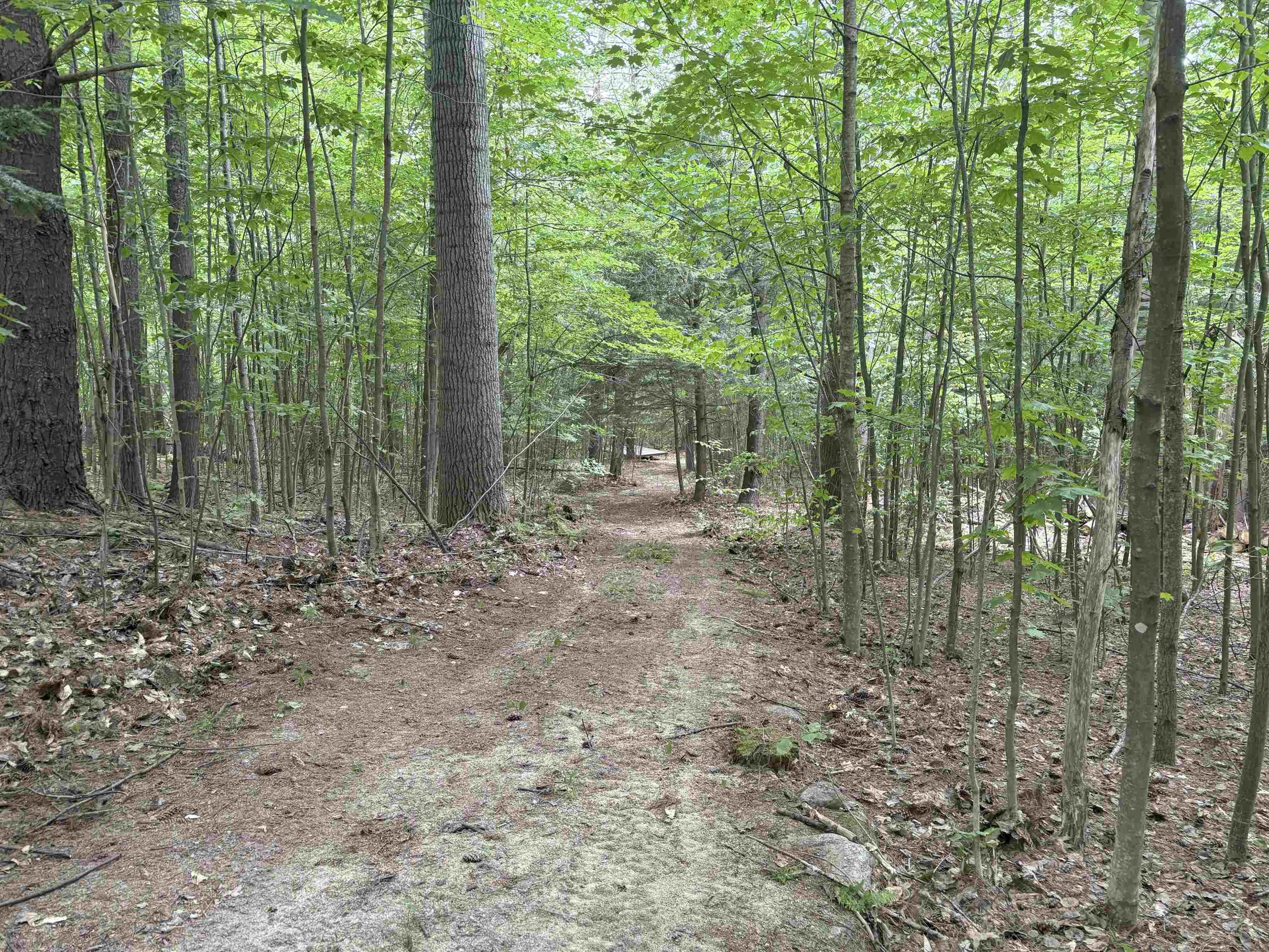 190 Circuit Road Ossipee, NH 03864 - Photo 7 of 56
