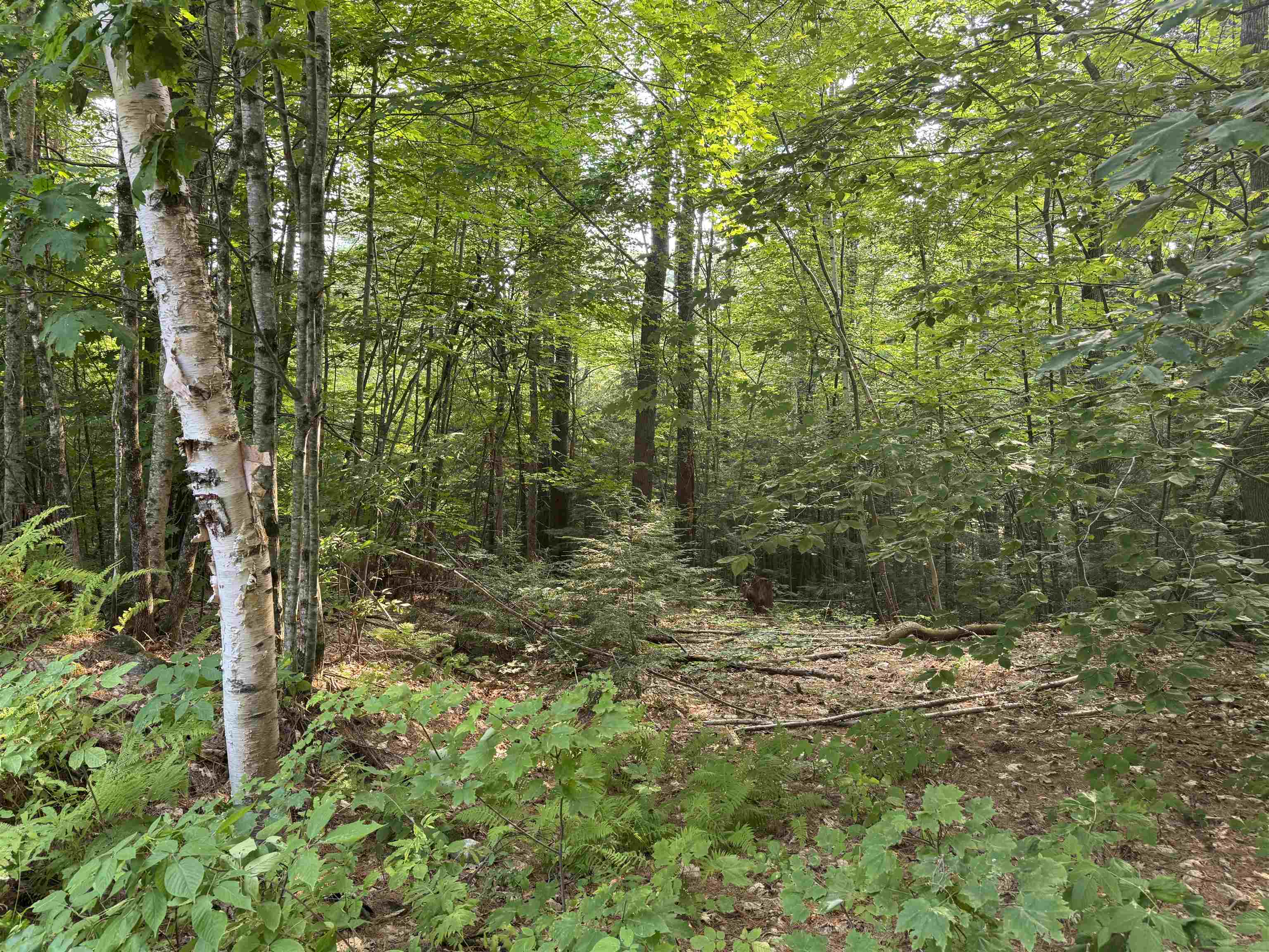 190 Circuit Road Ossipee, NH 03864 - Photo 10 of 57