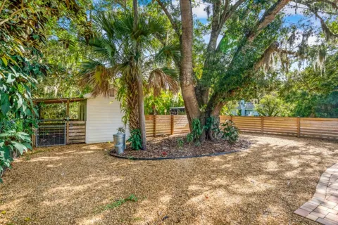 a view of a backyard with large tree