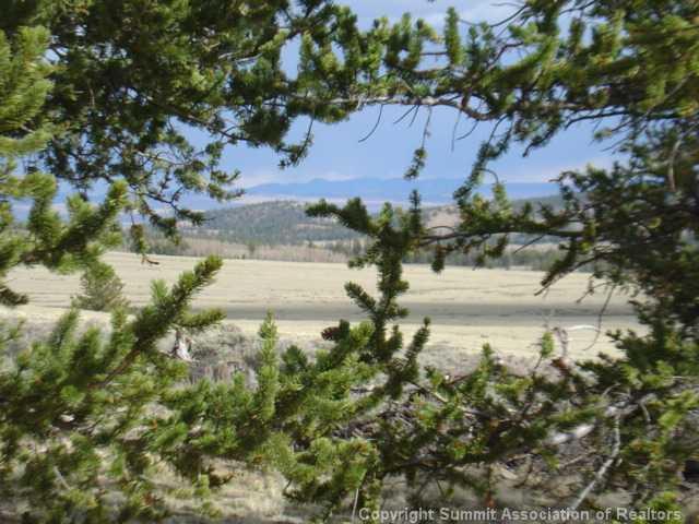 5220 Co 5 Road Fairplay, CO 80440 - Photo 5 of 18 a view of a lake in front of the tree