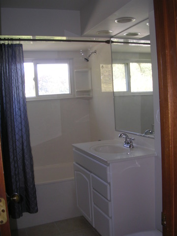 607 Elmhurst Road Mount Prospect, IL 60056 - Photo 13 of 24 a bathroom with a sink a vanity and a mirror