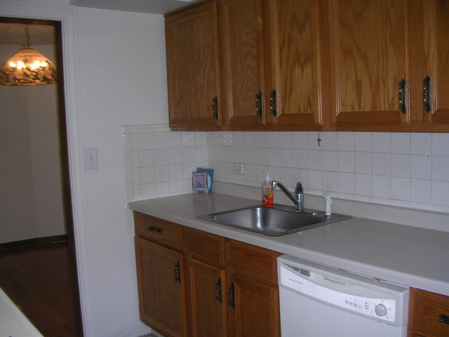 607 Elmhurst Road Mount Prospect, IL 60056 - Photo 4 of 24 a kitchen with a sink and cabinets