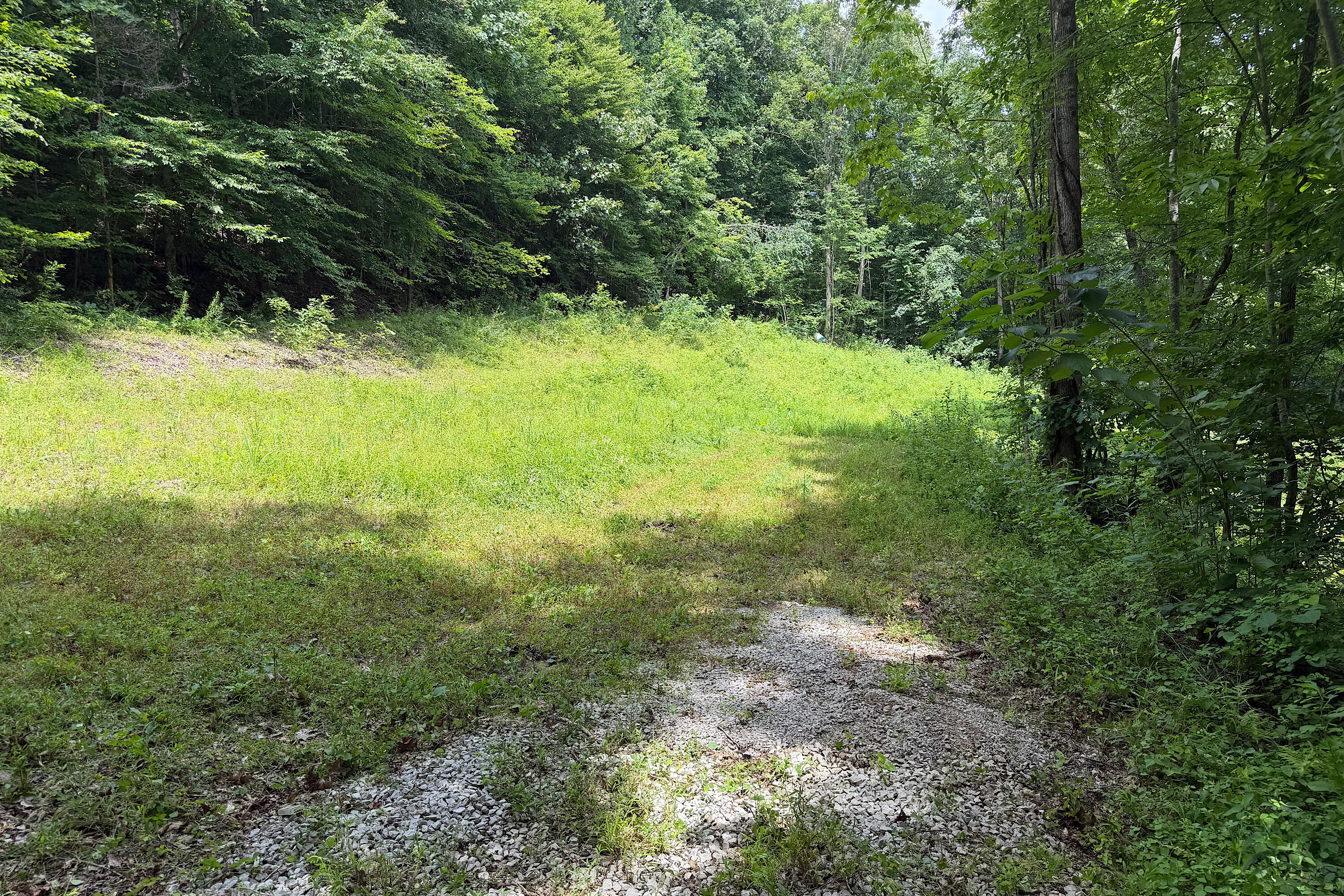4813 Brammer Hill Ridge Road Monticello, KY 42633 - Photo 7 of 12 IMG_1635