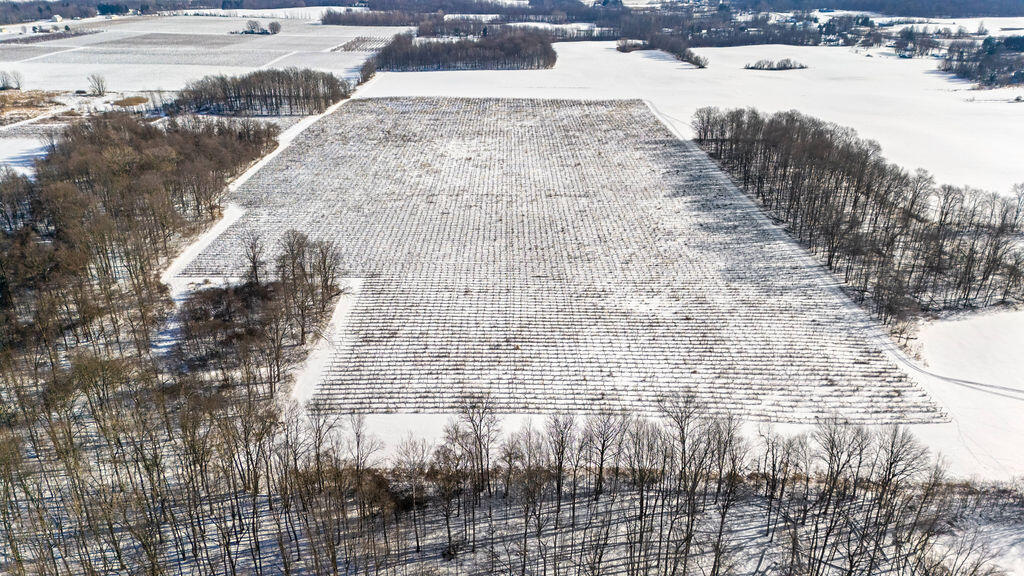 V/l East Lemon Creek Road Berrien Springs, MI 49103 - Photo 11 of 27 Lemon Creek