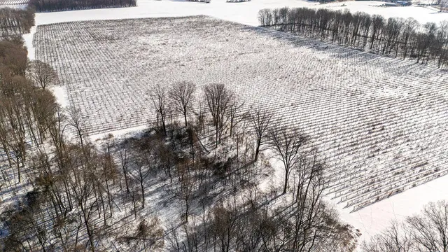 $889,900 | V/l East Lemon Creek Road, Berrien Springs, MI 49103