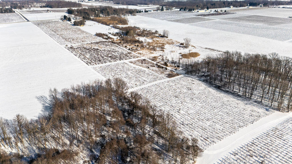 V/l East Lemon Creek Road Berrien Springs, MI 49103 - Photo 13 of 27 Lemon Creek