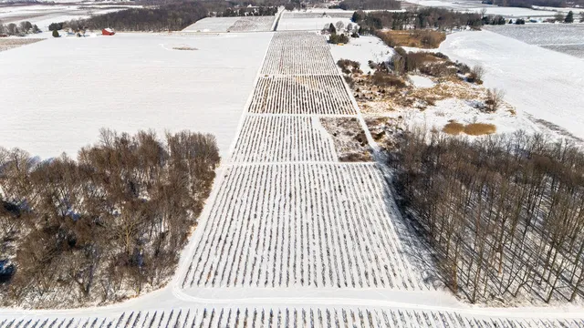 $889,900 | V/l East Lemon Creek Road, Berrien Springs, MI 49103