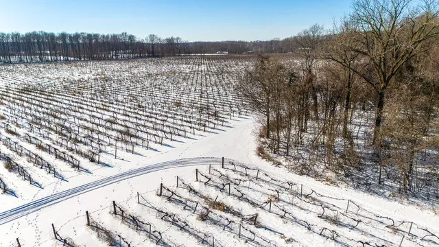 $889,900 | V/l East Lemon Creek Road, Berrien Springs, MI 49103