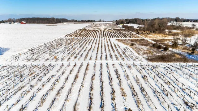 $889,900 | V/l East Lemon Creek Road, Berrien Springs, MI 49103