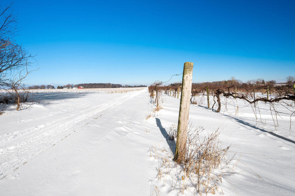 V/l East Lemon Creek Road Berrien Springs, MI 49103 - Photo 17 of 27 Lemon Creek
