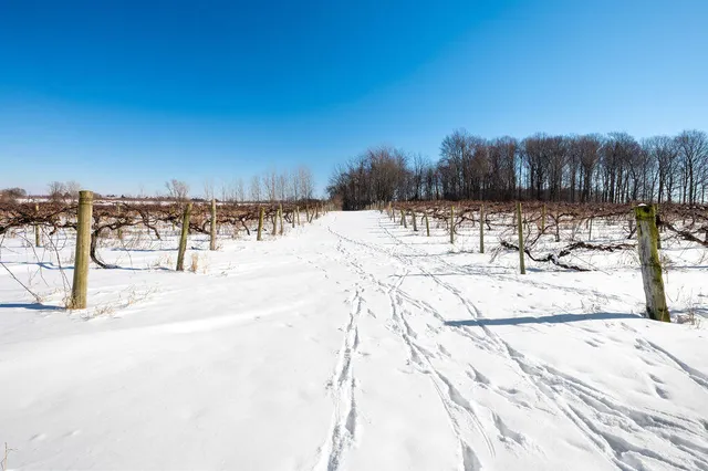 $889,900 | V/l East Lemon Creek Road, Berrien Springs, MI 49103