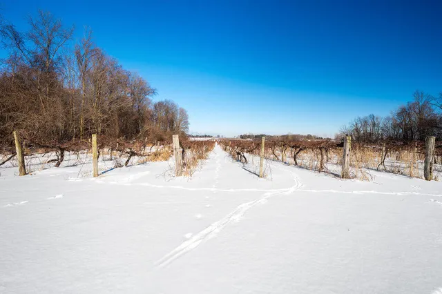 $889,900 | V/l East Lemon Creek Road, Berrien Springs, MI 49103