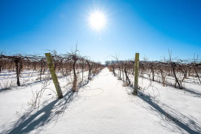 $889,900 | V/l East Lemon Creek Road, Berrien Springs, MI 49103