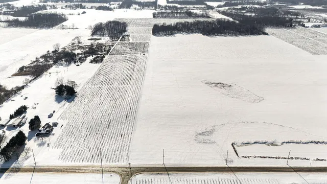 $889,900 | V/l East Lemon Creek Road, Berrien Springs, MI 49103