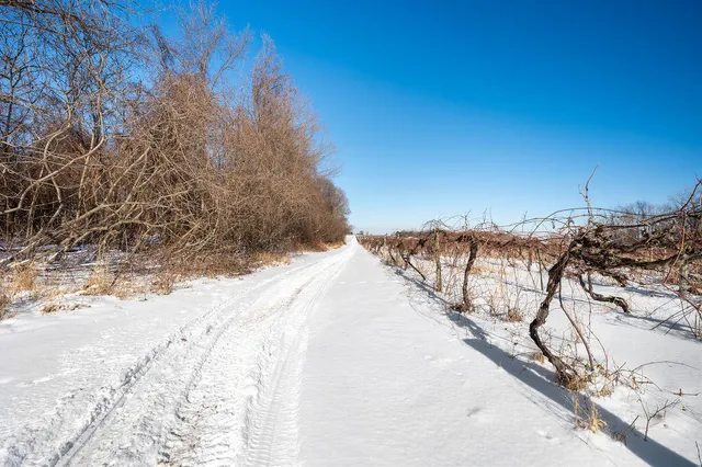 $889,900 | V/l East Lemon Creek Road, Berrien Springs, MI 49103