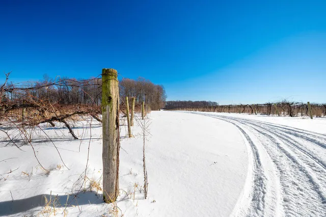 $889,900 | V/l East Lemon Creek Road, Berrien Springs, MI 49103