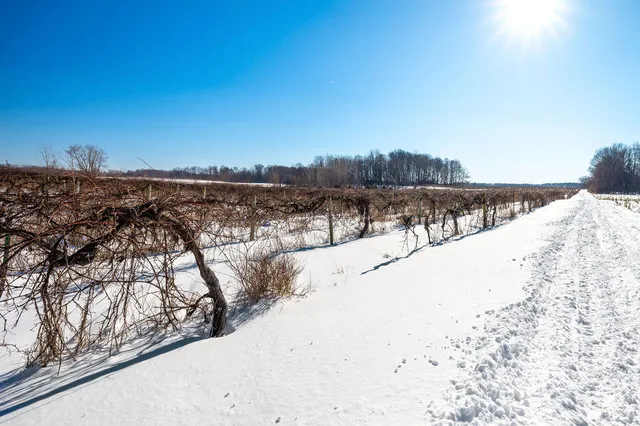 $889,900 | V/l East Lemon Creek Road, Berrien Springs, MI 49103