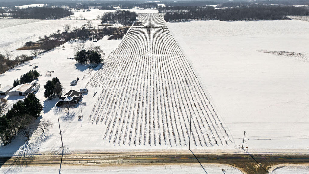 V/l East Lemon Creek Road Berrien Springs, MI 49103 - Photo 3 of 27 Lemon Creek