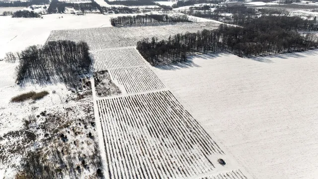 $889,900 | V/l East Lemon Creek Road, Berrien Springs, MI 49103