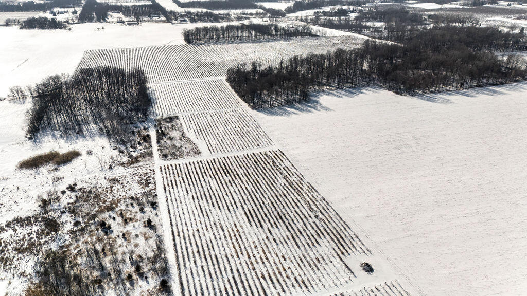 V/l East Lemon Creek Road Berrien Springs, MI 49103 - Photo 4 of 27 Lemon Creek