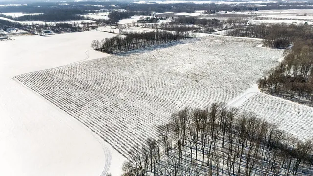 $889,900 | V/l East Lemon Creek Road, Berrien Springs, MI 49103