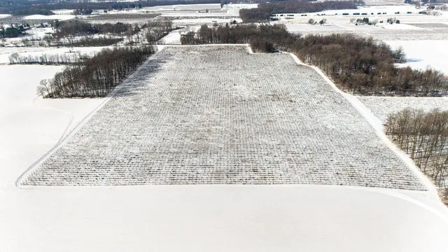 $889,900 | V/l East Lemon Creek Road, Berrien Springs, MI 49103