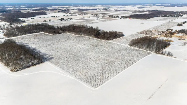 $889,900 | V/l East Lemon Creek Road, Berrien Springs, MI 49103