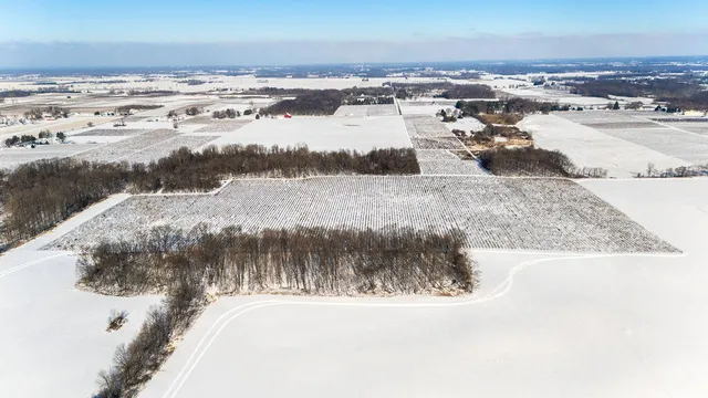 $889,900 | V/l East Lemon Creek Road, Berrien Springs, MI 49103